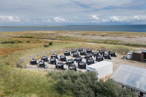 AWI Outdoor Mesocosms